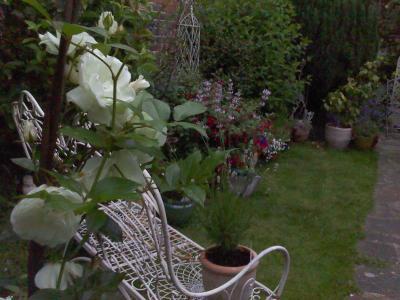 Leaving The Garden
